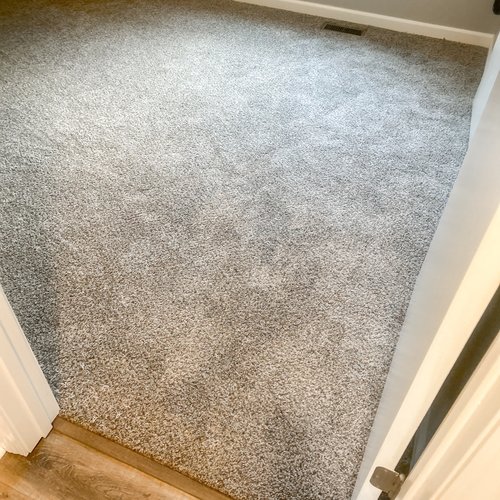 Carpet_LVP-3
