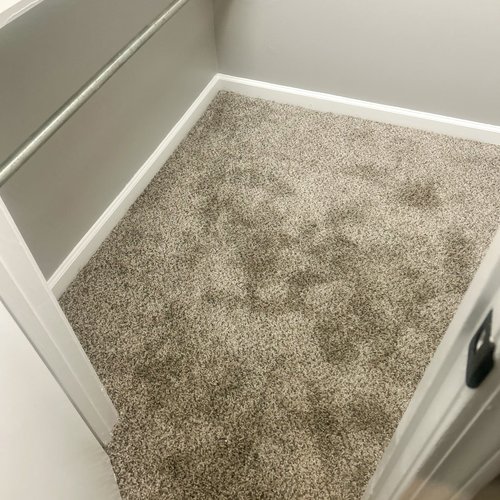 Carpet_LVP-4